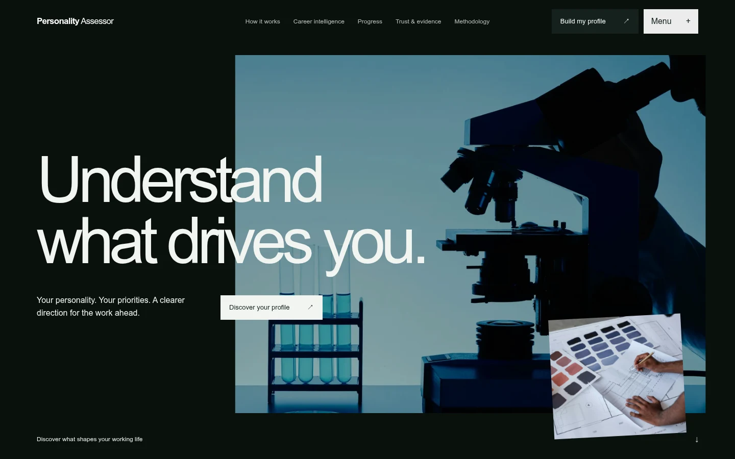 Personality Assessor actual desktop website